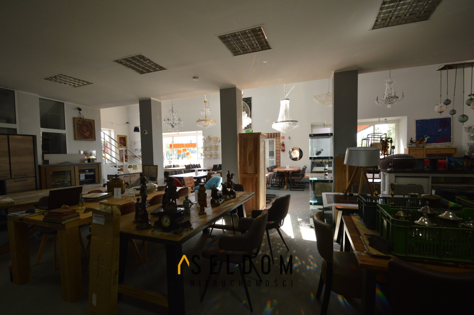 Lokal Wynajem Opole Kazimierza Sosnkowskiego 19