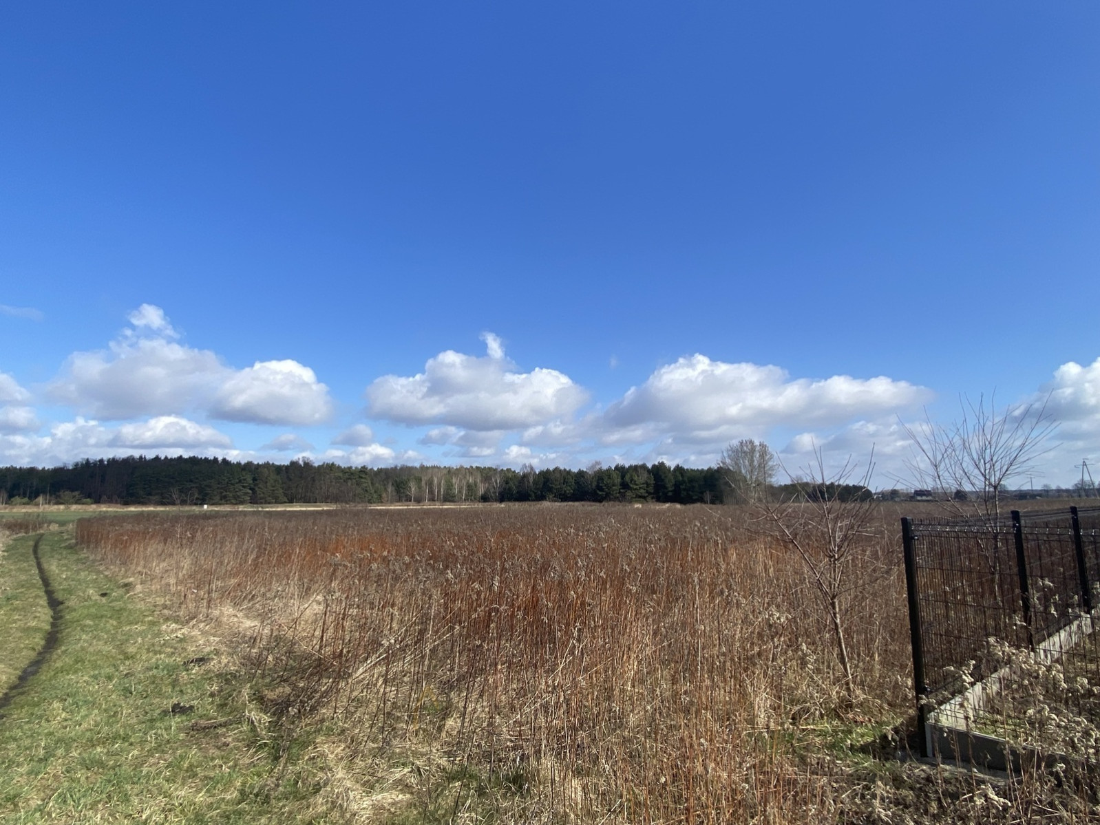 Działka Sprzedaż  Pustków 1
