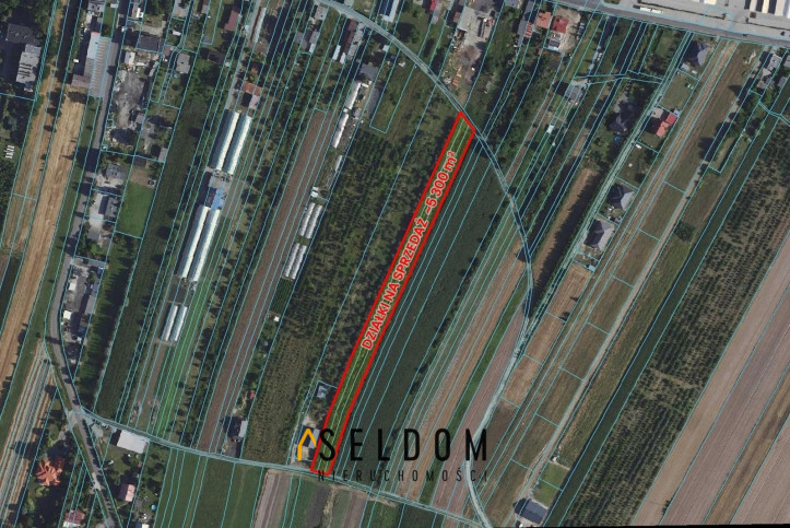 Działka Sprzedaż Zagórów 1