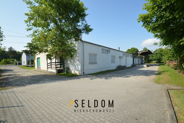 Lokal Sprzedaż Prószków 18