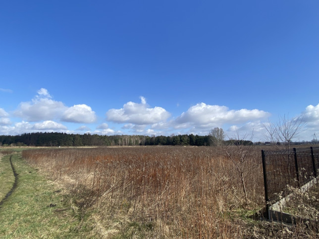 Działka Sprzedaż Szczedrzyk Pustków 1