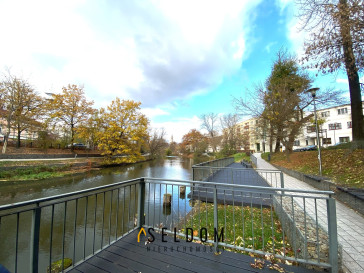 Mieszkanie Wynajem  Centrum Leona Powolnego