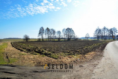 Działka Sprzedaż Pichorowice
