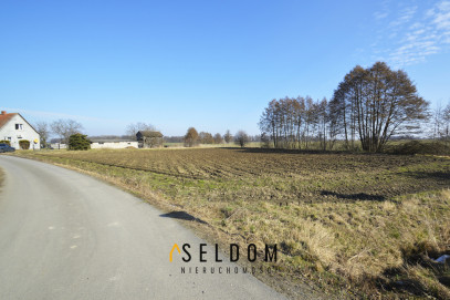 Działka Sprzedaż Pichorowice