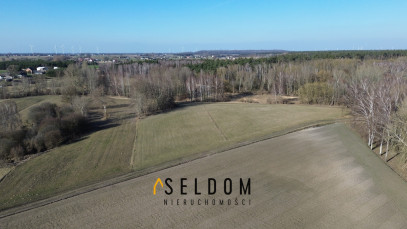 Działka Sprzedaż Głodowo
