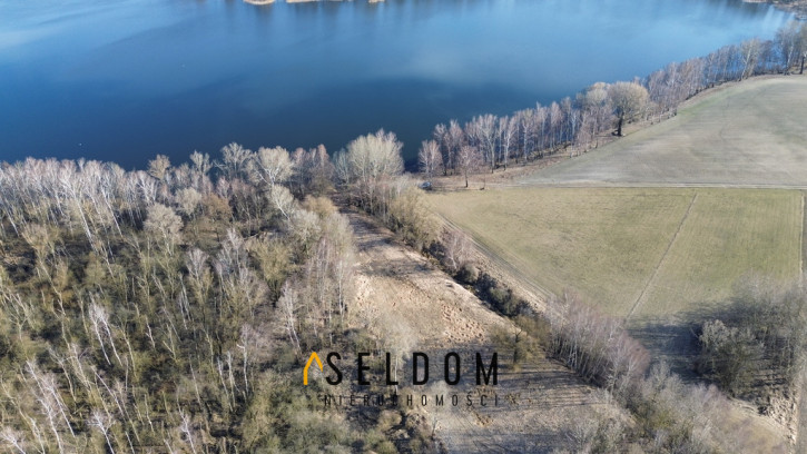 Działka Sprzedaż Głodowo 3