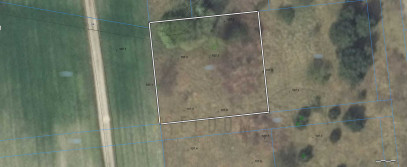 Działka Sprzedaż Konin Wilków