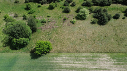 Działka Sprzedaż Konin Wilków