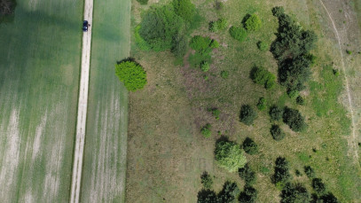 Działka Sprzedaż Konin Wilków