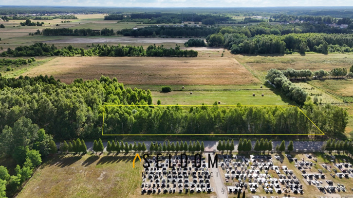 Działka Sprzedaż Grodziec 6