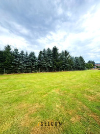 Działka Sprzedaż Ściegny