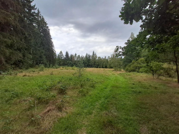 Działka Sprzedaż Antoniów