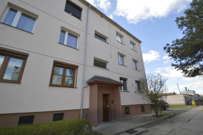 Mieszkanie Wynajem Kunice Wincentego Witosa