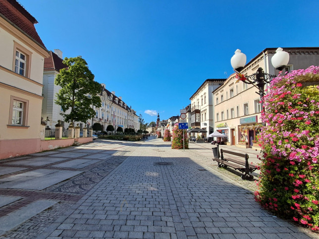 Lokal Sprzedaż Jelenia Góra Cieplice Śląskie-Zdrój 1
