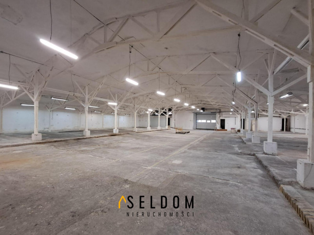 Magazyn Sprzedaż Jelenia Góra 1